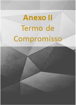 Anexo II Termo de Compromisso